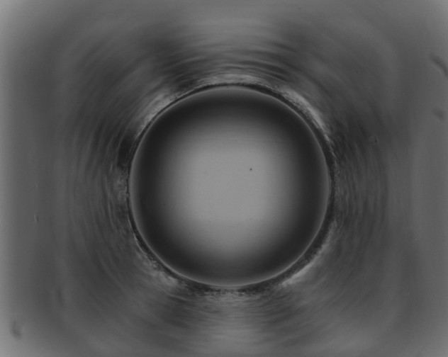 X0000093110945200709261247