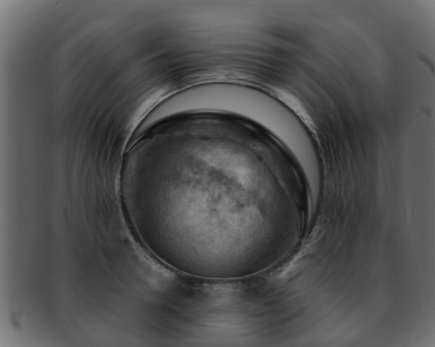 X0000093110946200709261247
