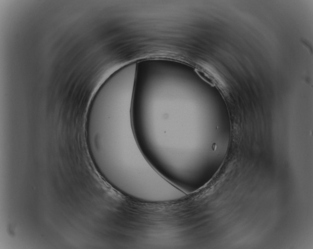 X0000093110948200709261247