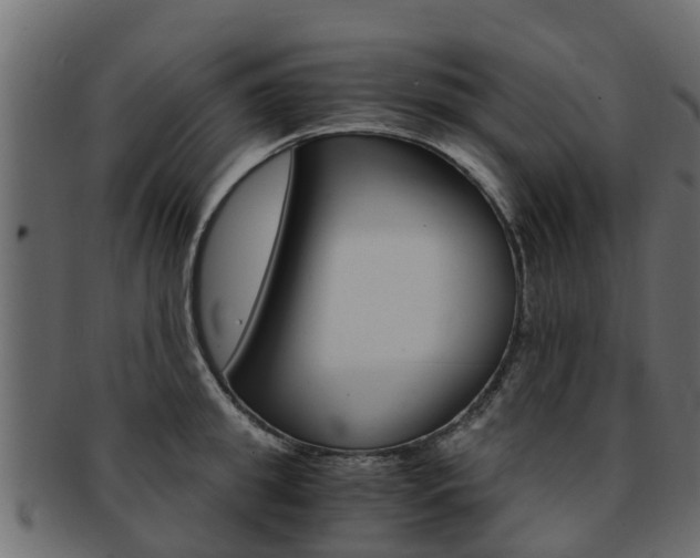X0000093110949200709261247