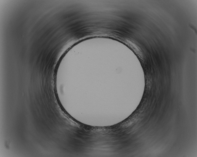 X0000093110950200709261247