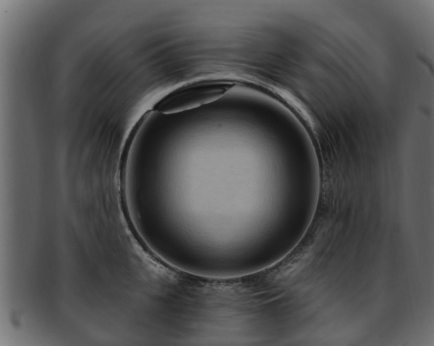 X0000093110951200709261247