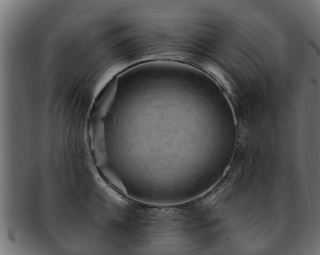 X0000093110952200709261247