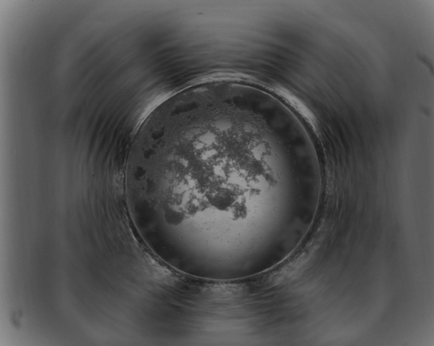 X0000093110953200709261247