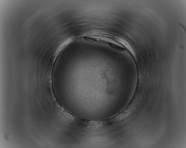 X0000093110954200709261247