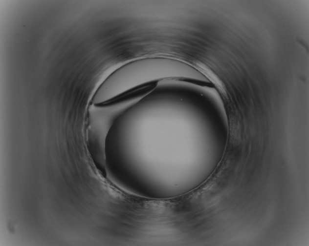 X0000093110956200709261247