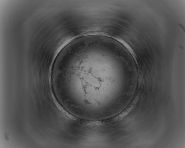 X0000093110957200709261247