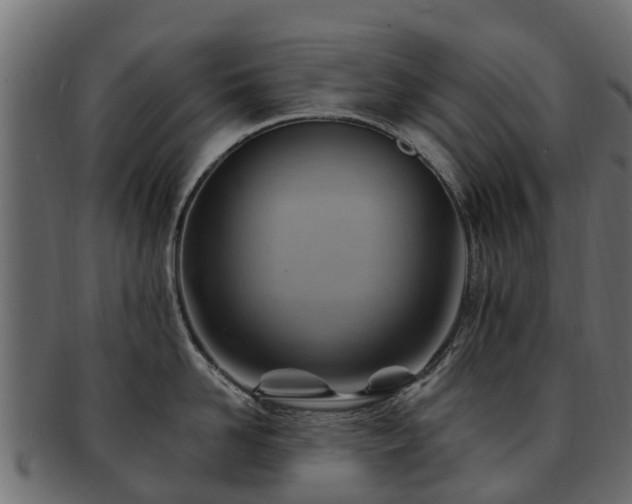 X0000093110958200709261248