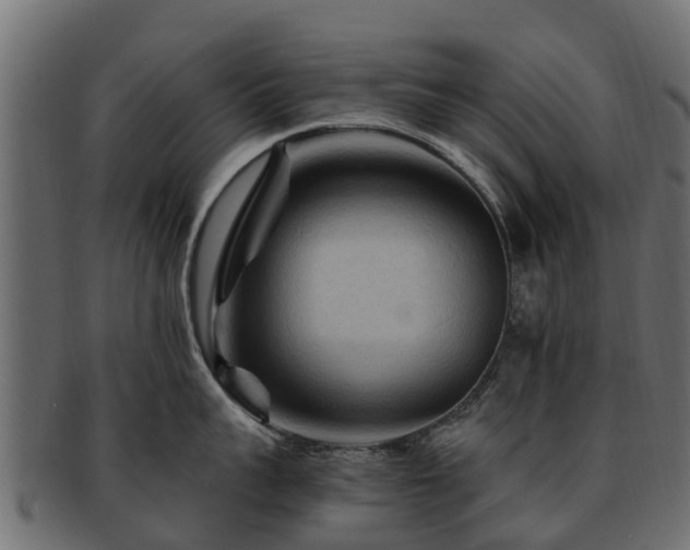 X0000093110959200709261248