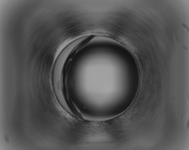 X0000093110960200709261248