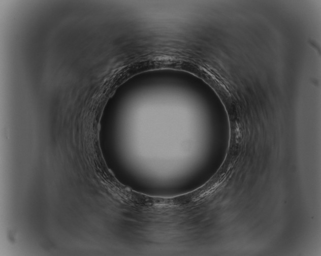 X0000093110961200709261247