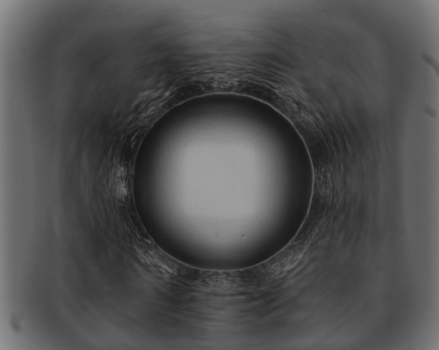 X0000093110962200709261247