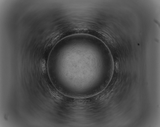 X0000093110963200709261247