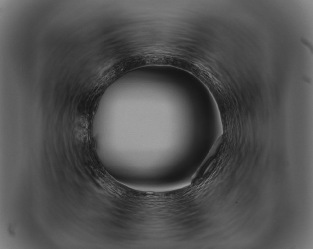 X0000093110964200709261247