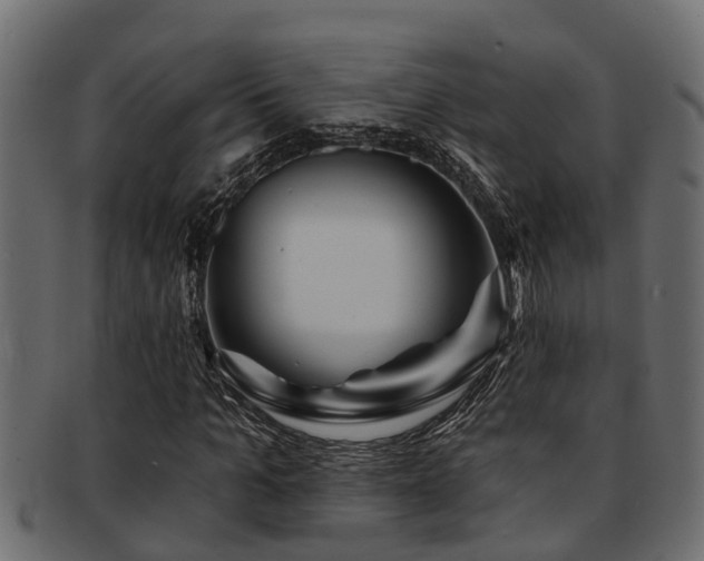 X0000093110965200709261247
