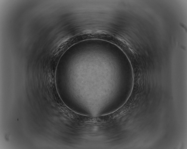 X0000093110966200709261247