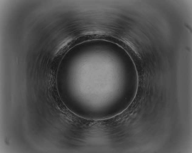 X0000093110967200709261247