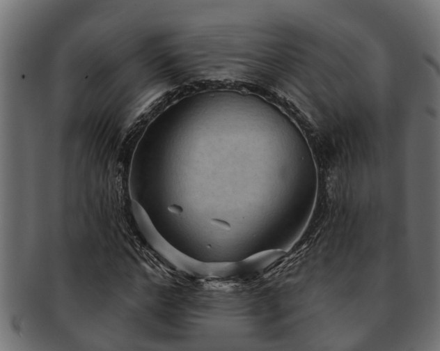 X0000093110968200709261247
