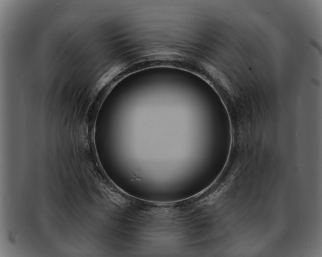 X0000093110970200709261247