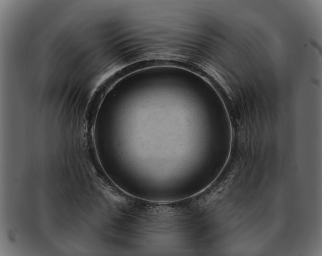 X0000093110971200709261247