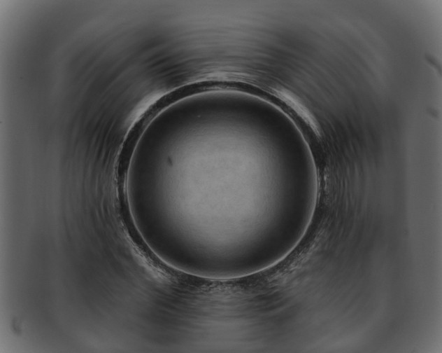 X0000093110972200709261247