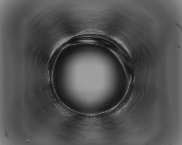 X0000093110973200709261247