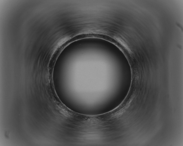 X0000093110974200709261247