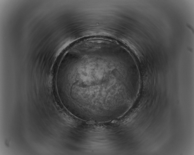 X0000093110975200709261247