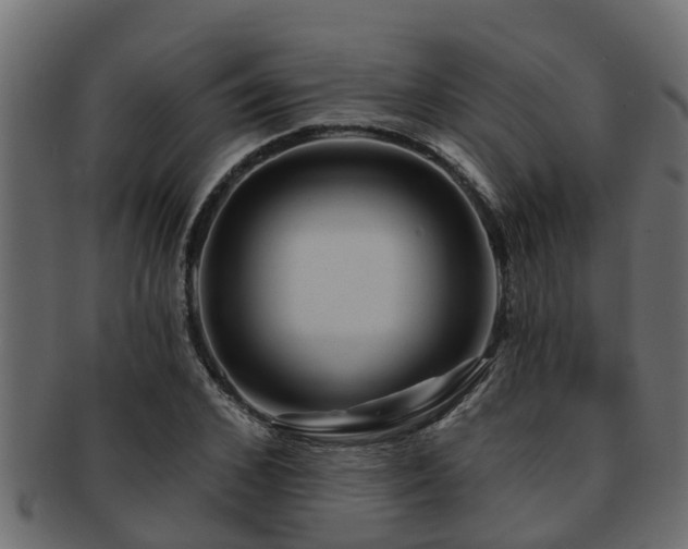 X0000093110976200709261247