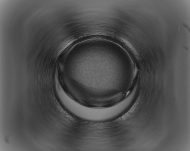 X0000093110977200709261247