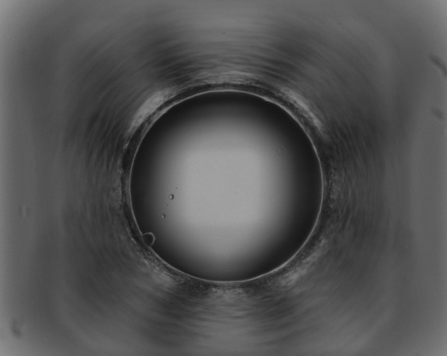 X0000093110978200709261247