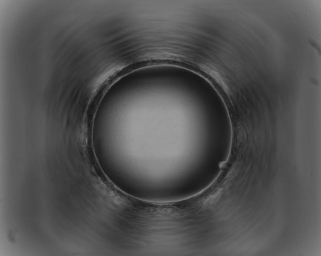 X0000093110979200709261247