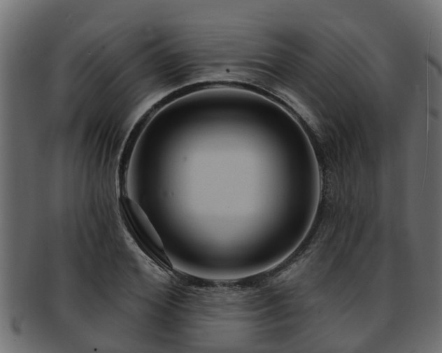 X0000093110980200709261247