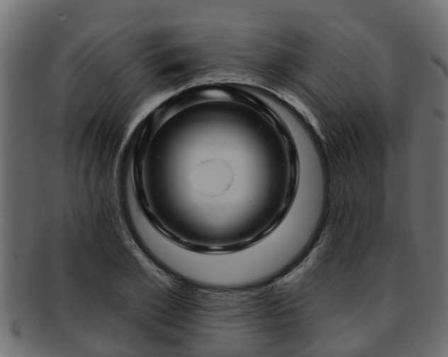 X0000093110981200709261247