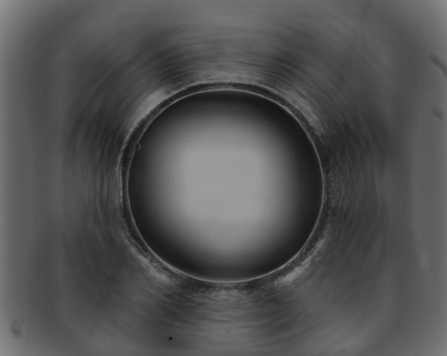 X0000093110982200709261247