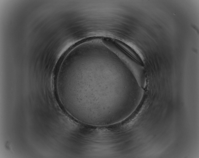 X0000093110983200709261247