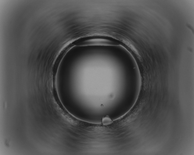 X0000093110984200709261247
