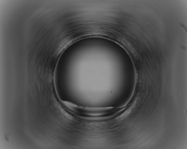 X0000093110985200709261247