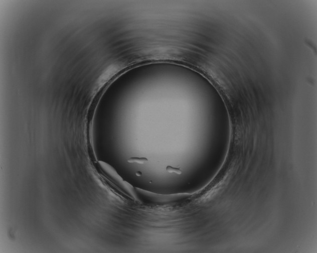 X0000093110986200709261247