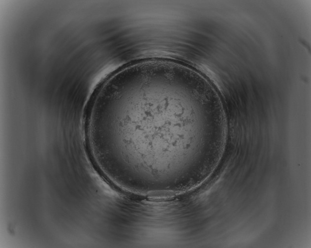 X0000093110987200709261247