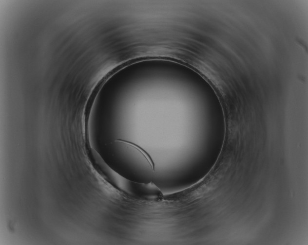 X0000093110988200709261247