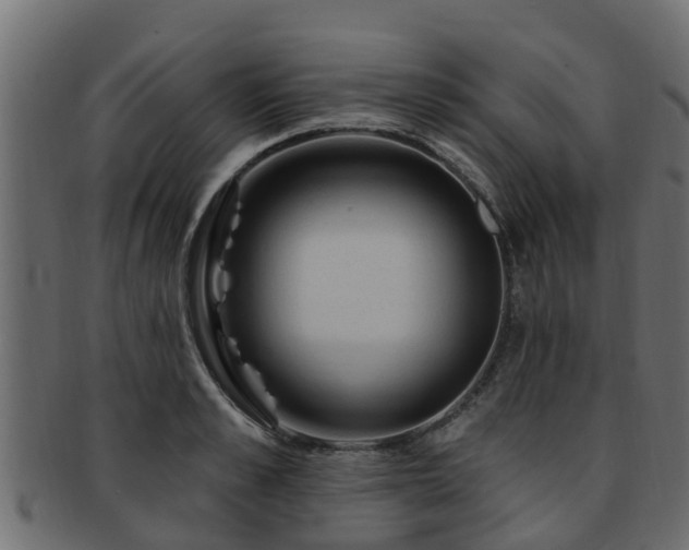 X0000093110989200709261247