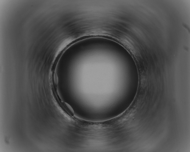 X0000093110990200709261247