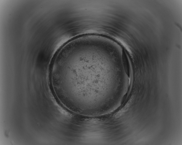 X0000093110991200709261247