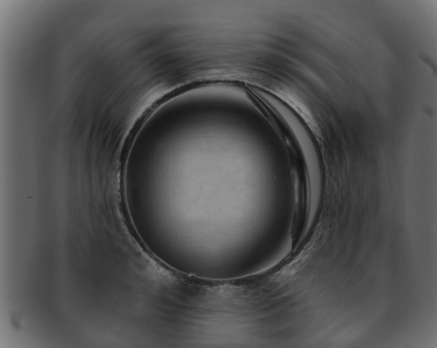 X0000093110992200709261247