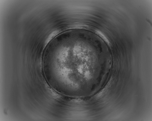 X0000093110994200709261247