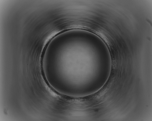 X0000093110995200709261247