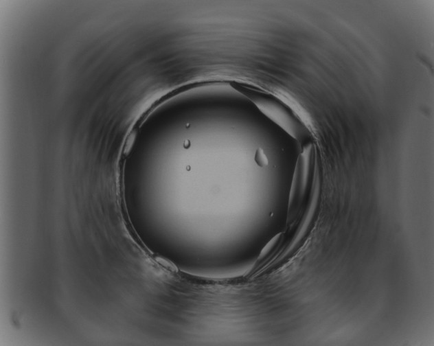 X0000093110996200709261247