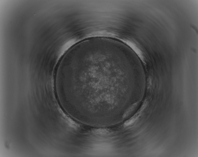 X0000093110998200709261247