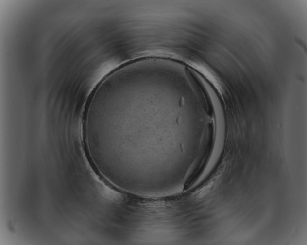 X0000093110999200709261247